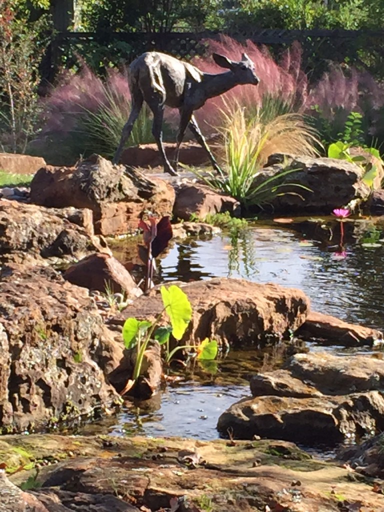 fall deer pond